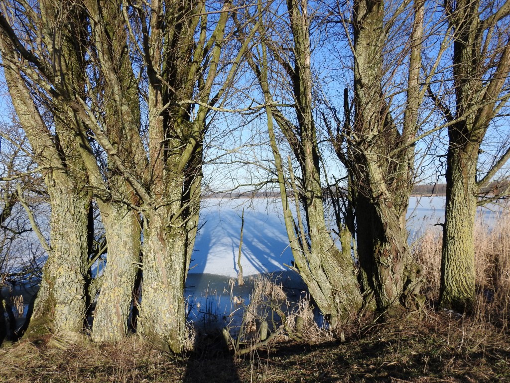 Natuur